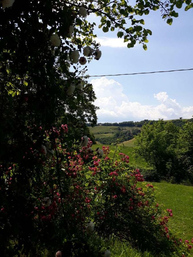 B&B I Canonici Urbino Extérieur photo